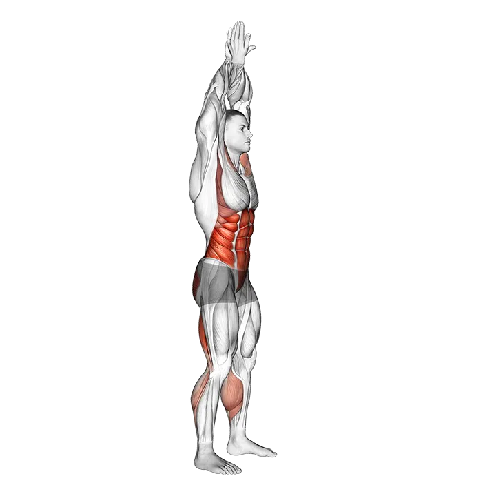 Hands Reversed Clasped Circular Toe Touch exercise animation (Male)