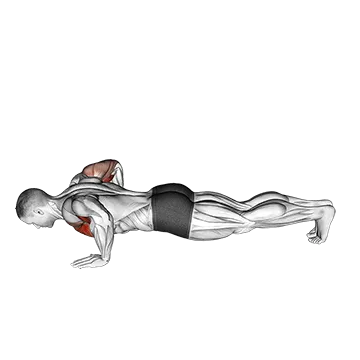 Chest Tap Push-up
