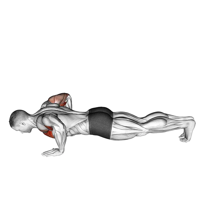 Chest Tap Push-up exercise animation (Male)