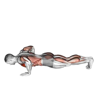 Modified Hindu Push-up
