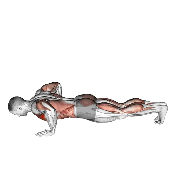 Modified Hindu Push-up exercise animation (Male)