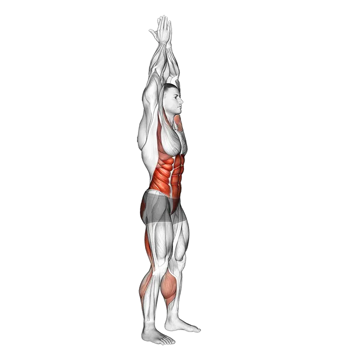 Hands Clasped Circular Toe Touch exercise animation (Male)