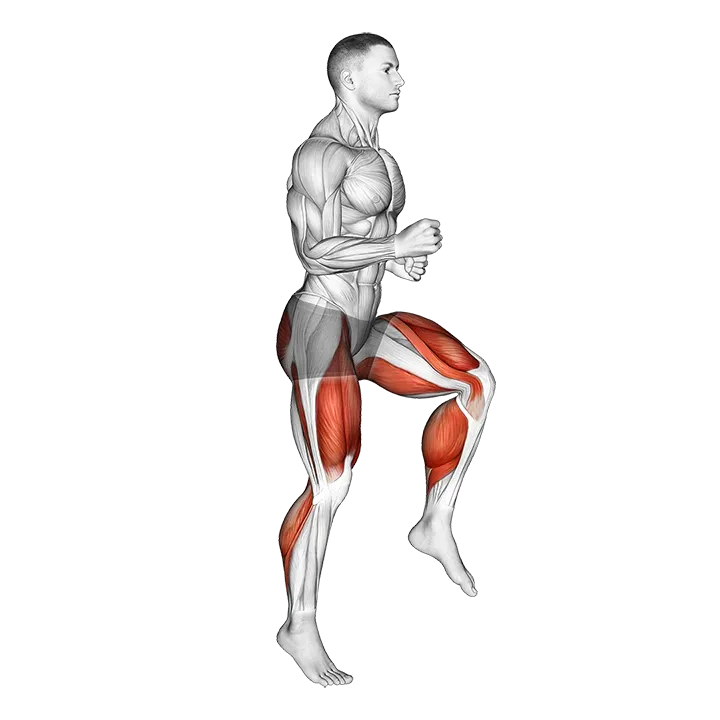Half Knee Bends exercise animation (Male)