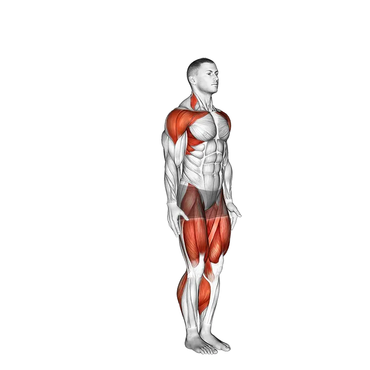 Star Jump exercise animation (Male)