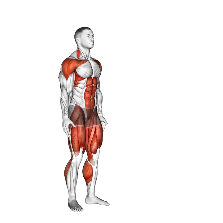 Jack Jump exercise animation (Male)