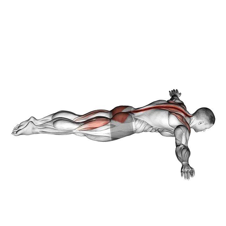 Floor T Raise exercise animation (Male)
