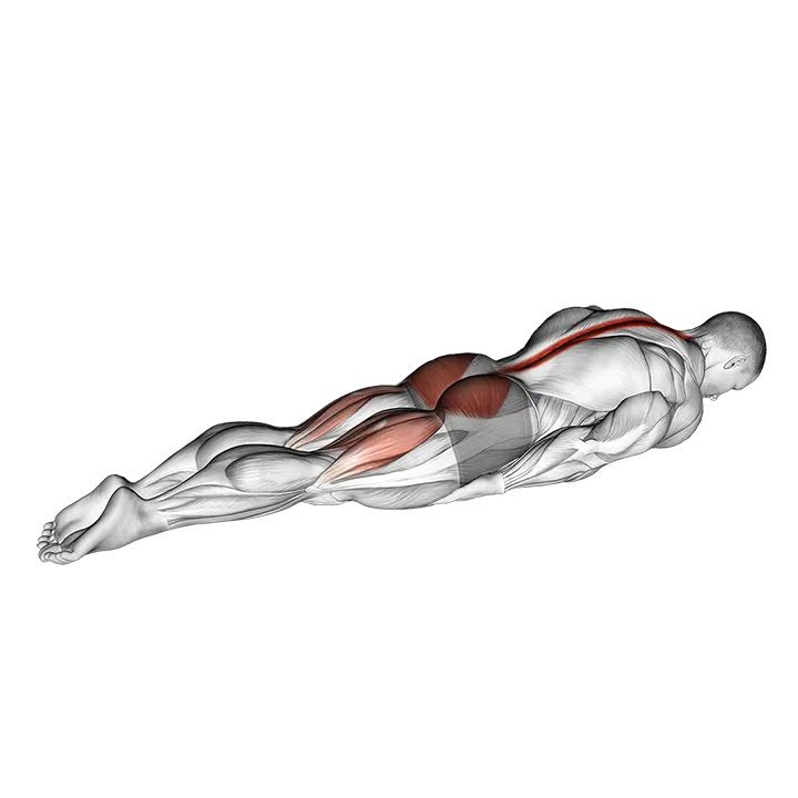 Swimmer Kicks exercise animation (Male)