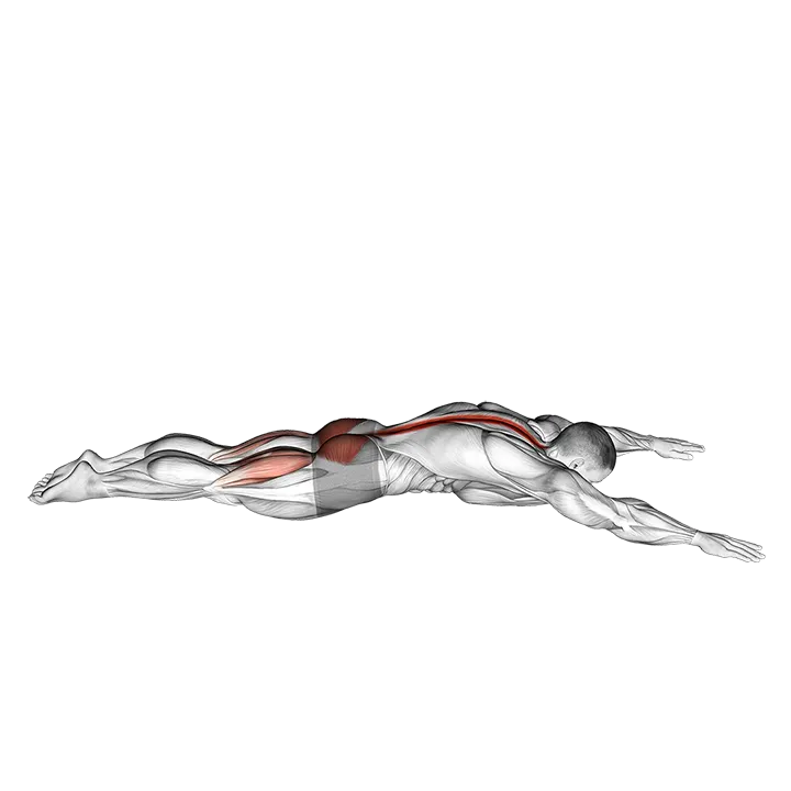 Lying Back Extension exercise animation (Male)