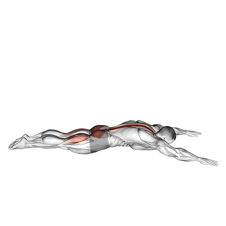 Lying Back Extension with Press exercise animation (Male)