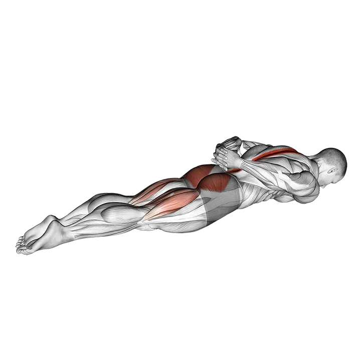 Prone Cobra Hands Interlocked exercise animation (Male)