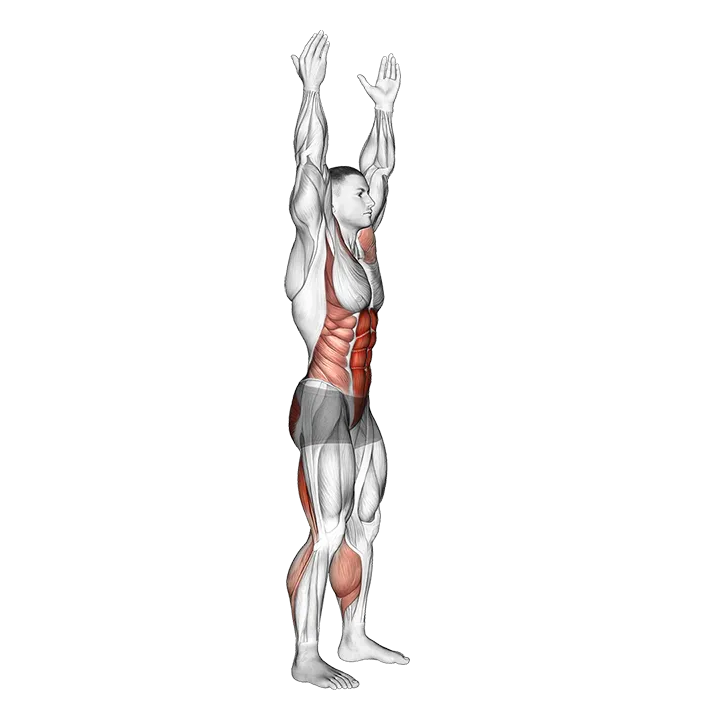Two Toe Touch exercise animation (Male)