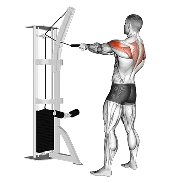 Cable Standing Rear Delt Horizontal Row (with rope)