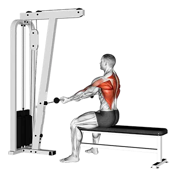 Cable Seated Supine-grip Row