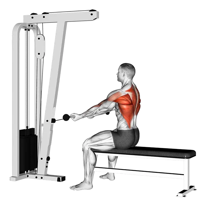 Cable Seated Supine-grip Row exercise animation (Male)
