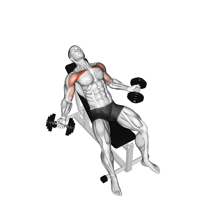 Hyght Dumbbell Fly exercise animation (Hombre)