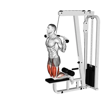 Cable Assisted Inverse Leg Curl