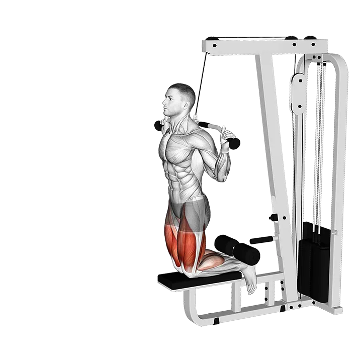 Cable Assisted Inverse Leg Curl exercise animation (Male)