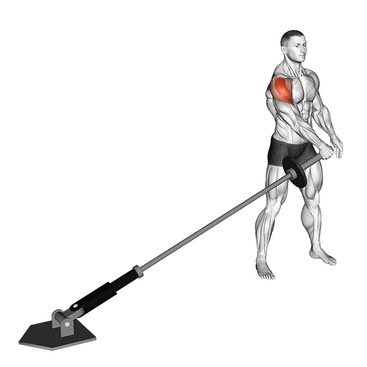Landmine Lateral Raise exercise animation (Männlich)