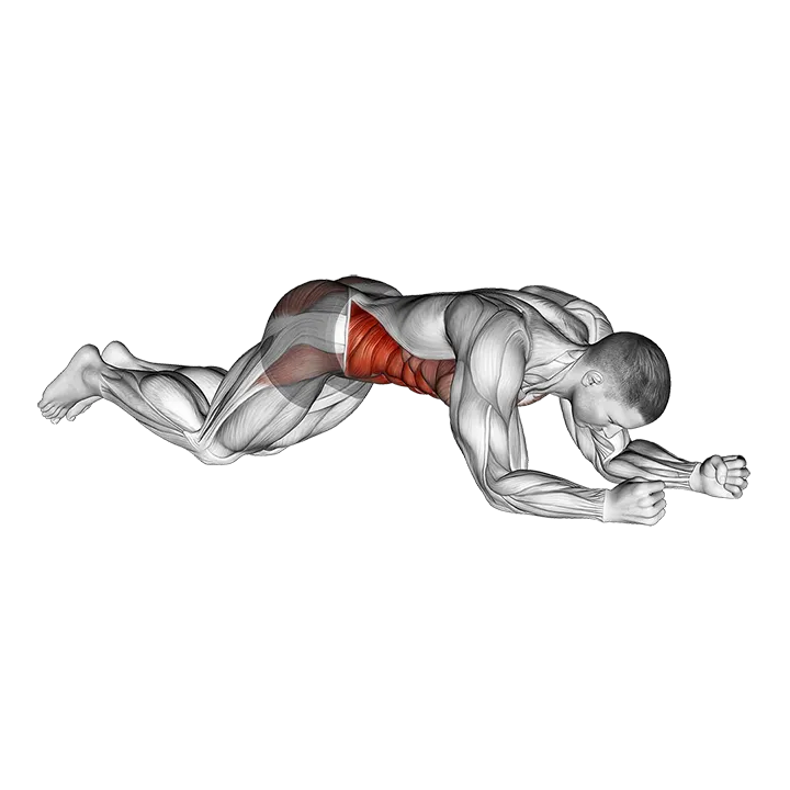 Kneeling plank exercise animation (Male)