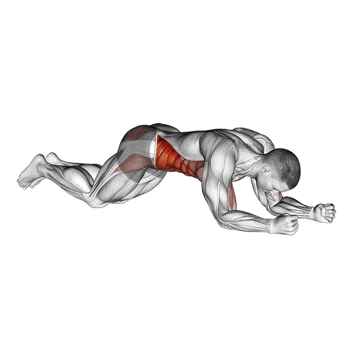 Kneeling Plank Tap Shoulder exercise animation (Male)