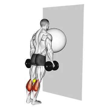Exercise Ball on the Wall Calf Raise (tennis ball between knees)