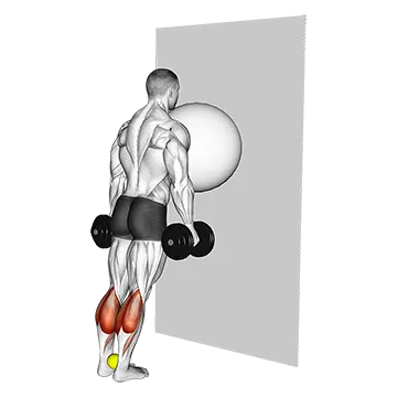 Exercise Ball on the Wall Calf Raise (tennis ball between ankles)