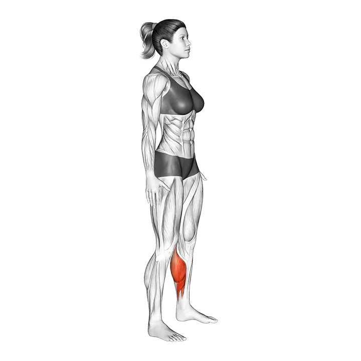 Feet and Ankles Side to Side Stretch exercise animation (Female)