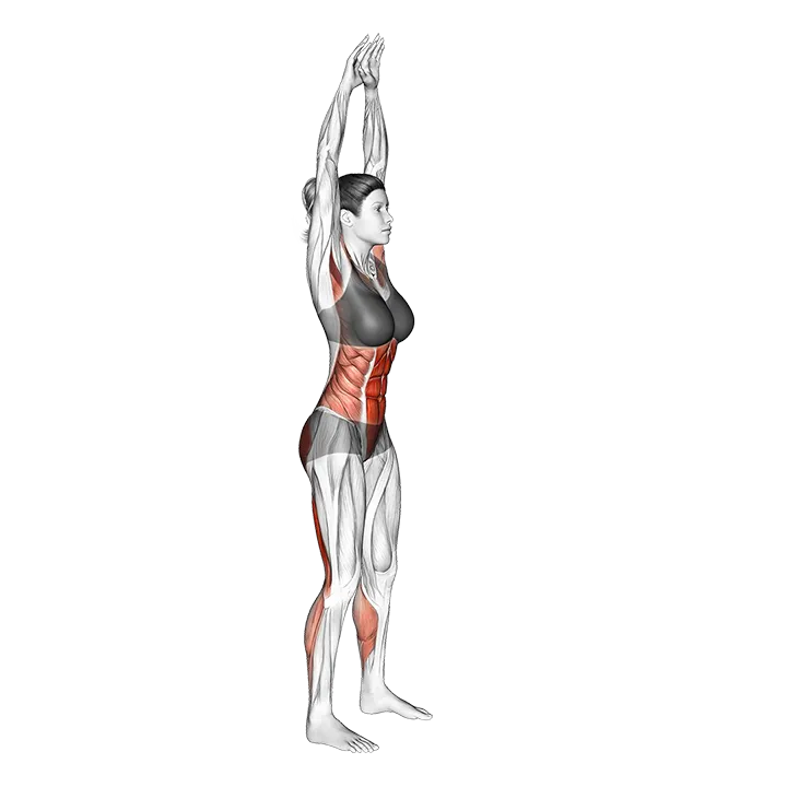 Two Front Toe Touching exercise animation (Female)