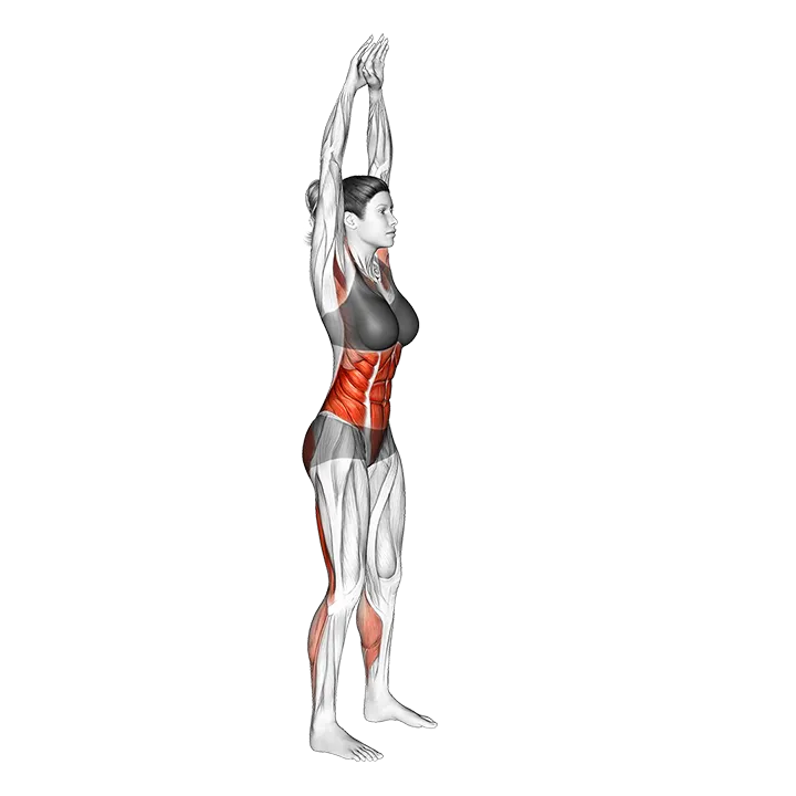 Side Two Front Toe Touching exercise animation (Female)
