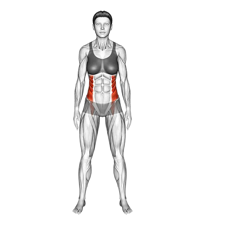 Standing Side Bend exercise animation (Female)