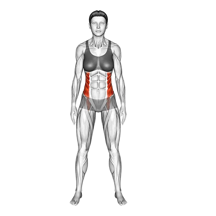 Standing Two Side Bend exercise animation (Female)