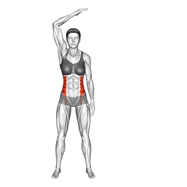 Standing Two Side Bend (bent arm) exercise animation (Female)
