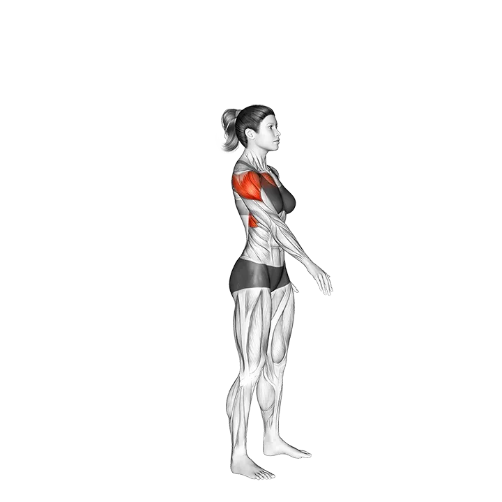 Standing One Arm Circling_Shoulders exercise animation (Female)