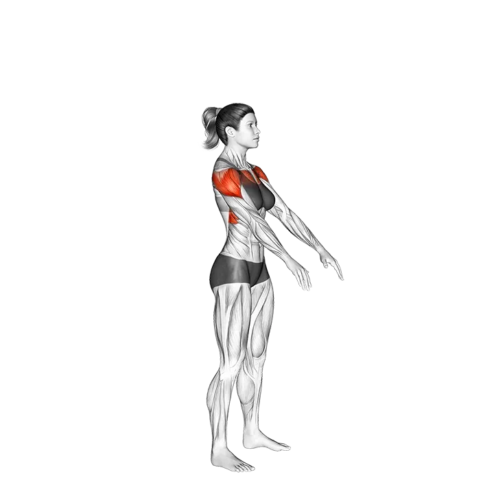 Standing Arms Circling_Shoulders exercise animation (Female)