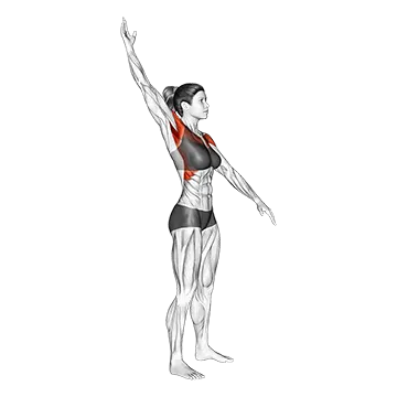 Standing Alternate Arms Circling_Shoulders