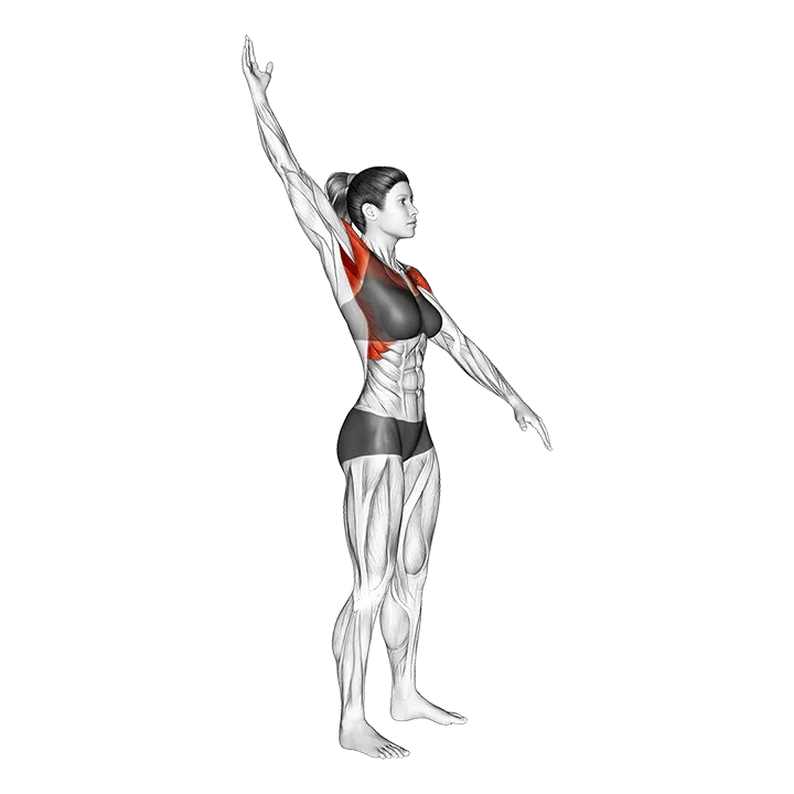 Standing Alternate Arms Circling_Shoulders exercise animation (Female)