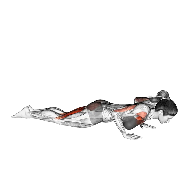 Kneeling Push up to Child Pose exercise animation (Female)