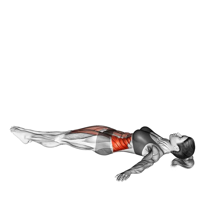 Lying Leg Raise to Side exercise animation (Female)
