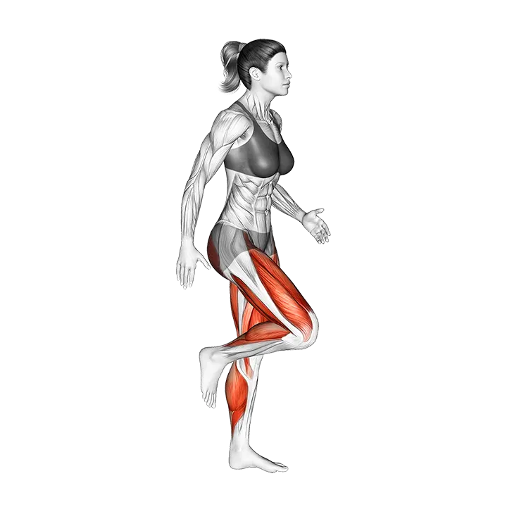 Run and Half Knee Bend exercise animation (Female)