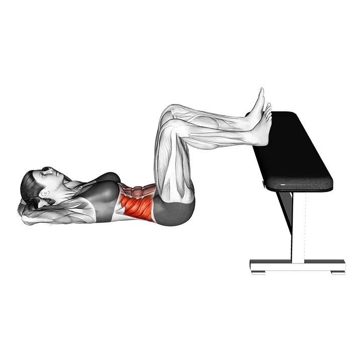 Floor Twisting Crunch Feet on Bench exercise animation (Female)