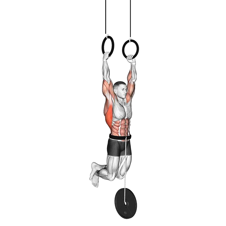 Weighted Muscle Up exercise animation (Male)