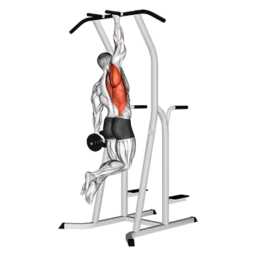 Weighted One Hand Pull up