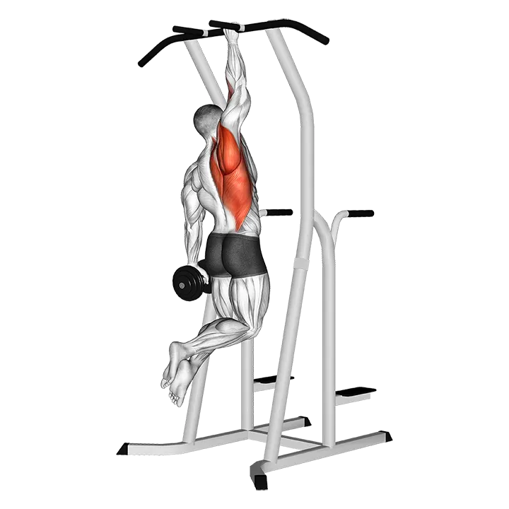 Weighted One Hand Pull up exercise animation (Männlich)