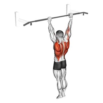 Archer Pull up