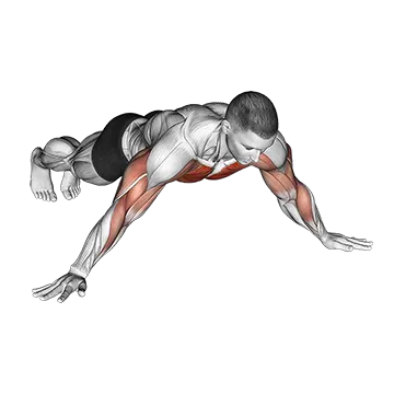 Archer Push up