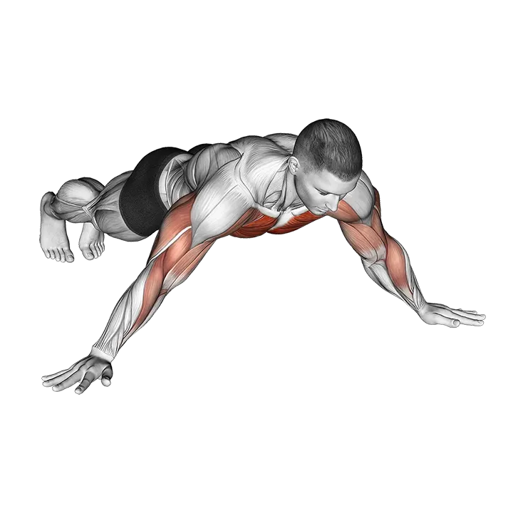 Archer Push up exercise animation (Male)