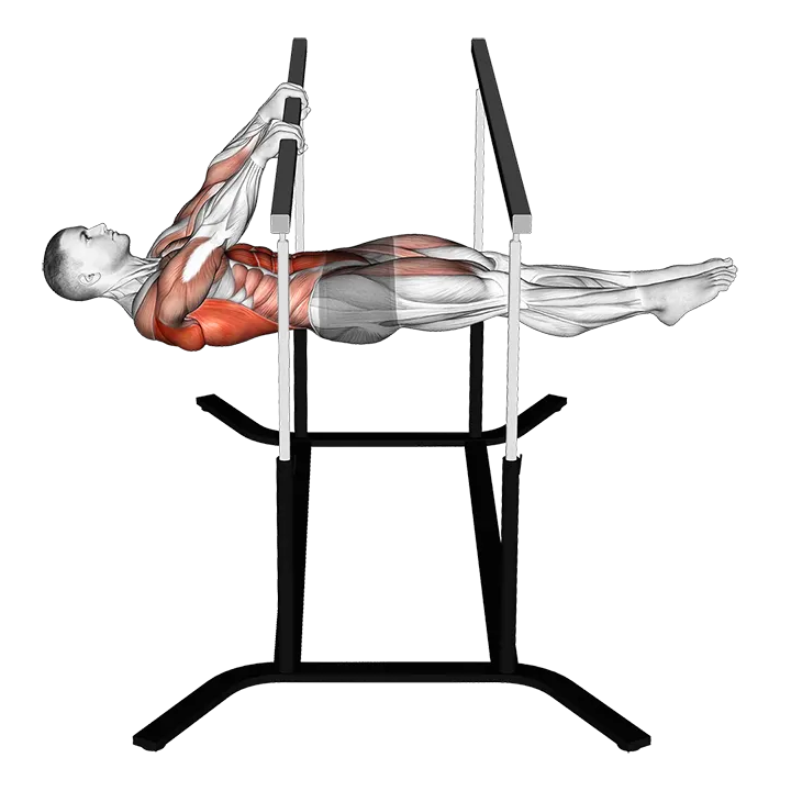 Front Lever Reps exercise animation (Male)