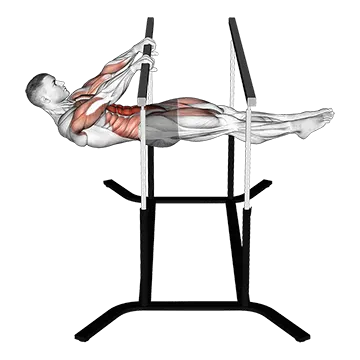 Front Lever