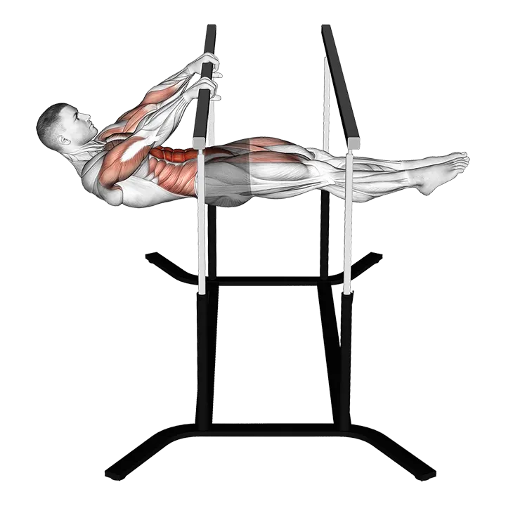 Front Lever exercise animation (Male)