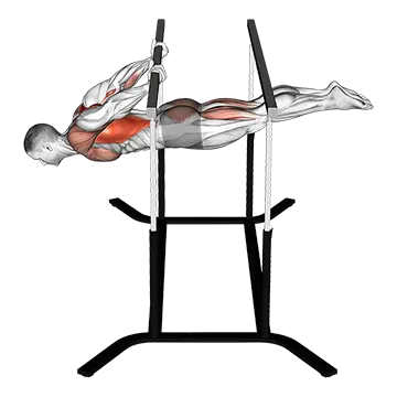 Back lever